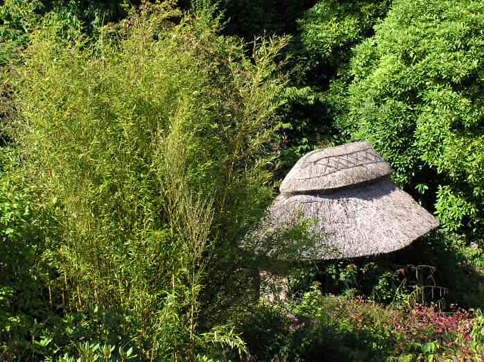 Cotehele Gardens - the Summer House