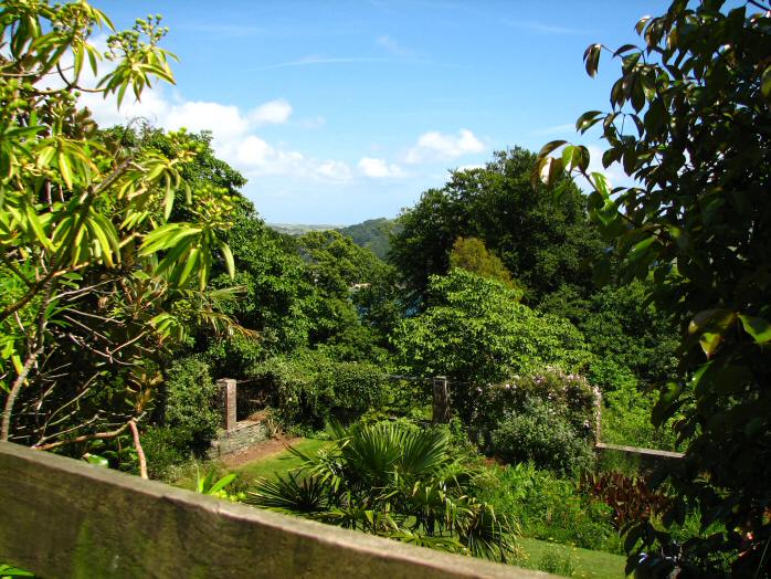 Overbecks - The Garden