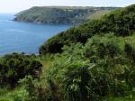 Hannafore to Talland Bay