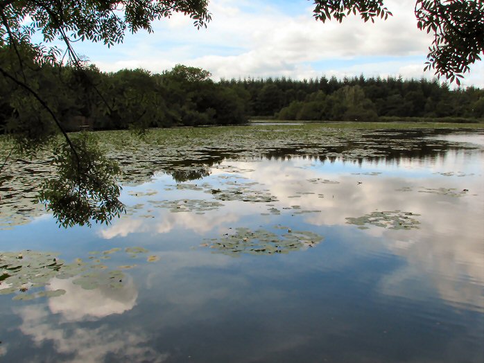 Stover Country Park