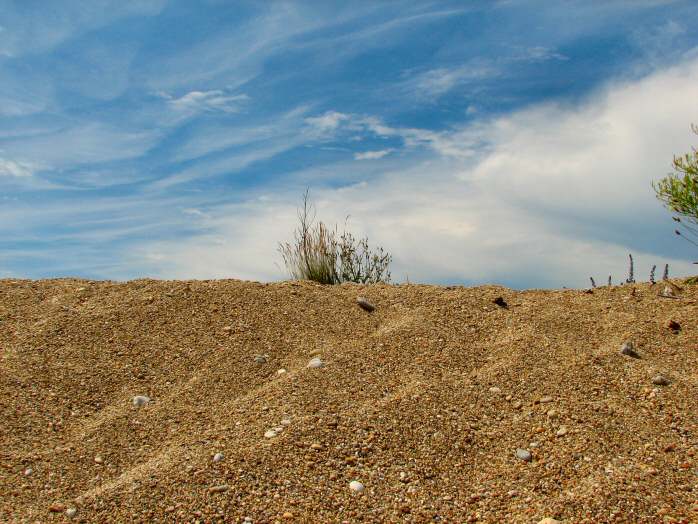 The 'Desert' at Slapton