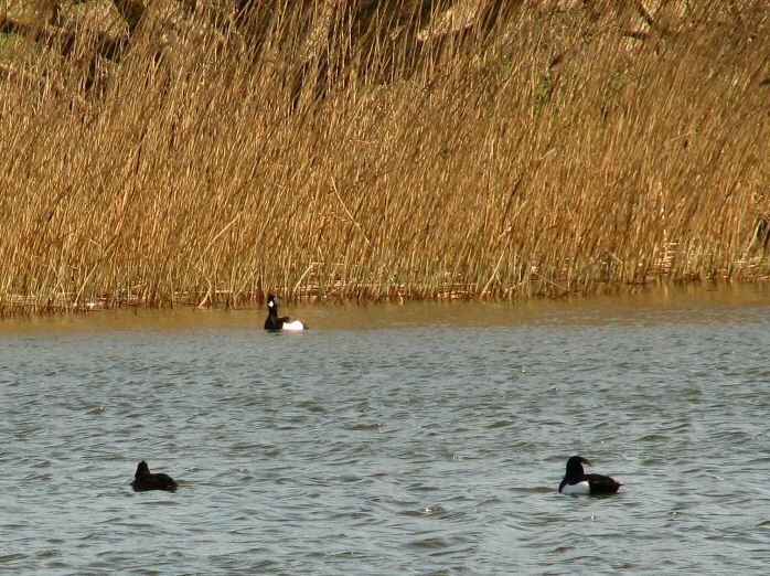 Slapton Ley