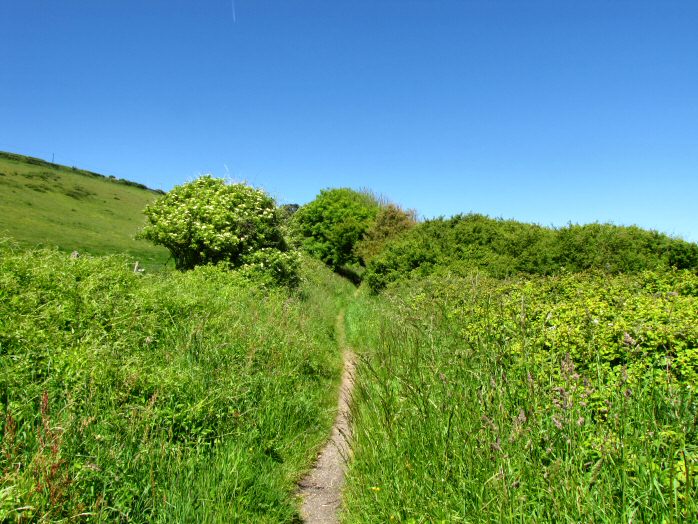 Path up from Strete Gate