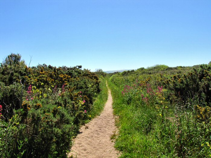 Path by Upper Ley