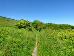 Slapton Landscape